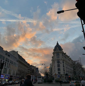 Meet your Posher, Hattie